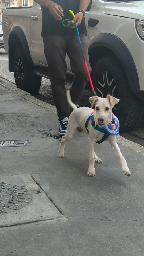 Centro Veterinario El Hasky — foto