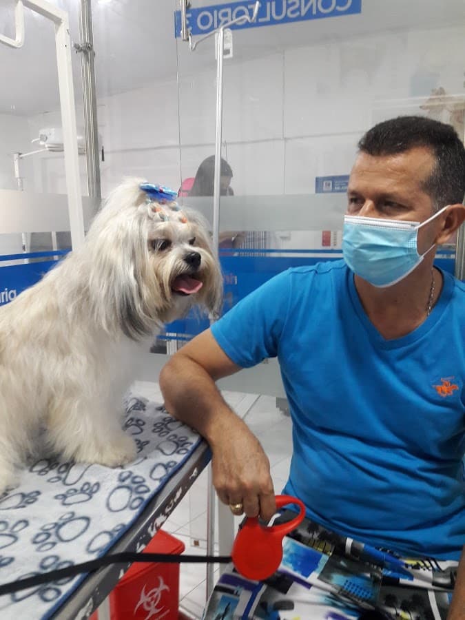 Clínica veterinaria Mascotas — foto