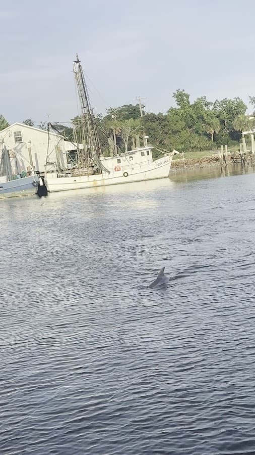 Amelia River Cruises & Charters — foto