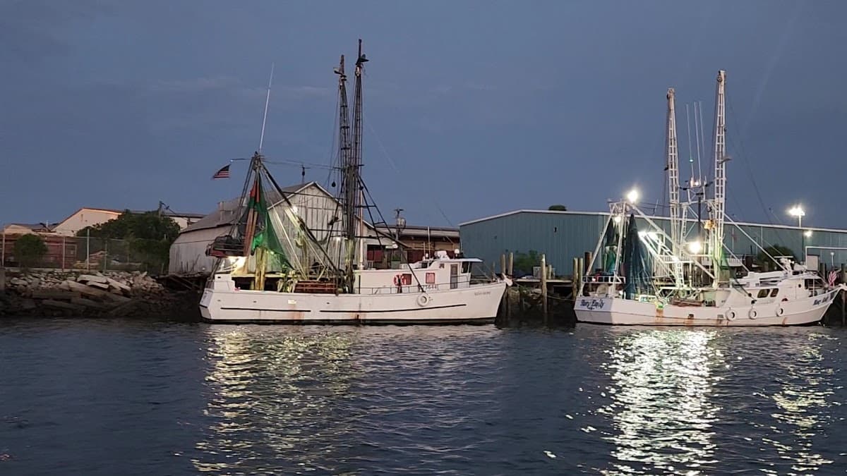 Amelia River Cruises & Charters — foto