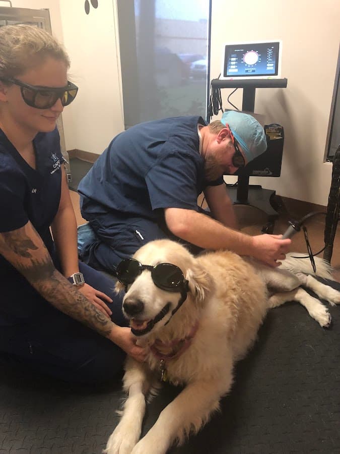Capital Veterinary Specialists, Jax — foto