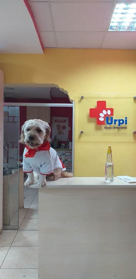 Urpi Clínica Veterinaria — foto