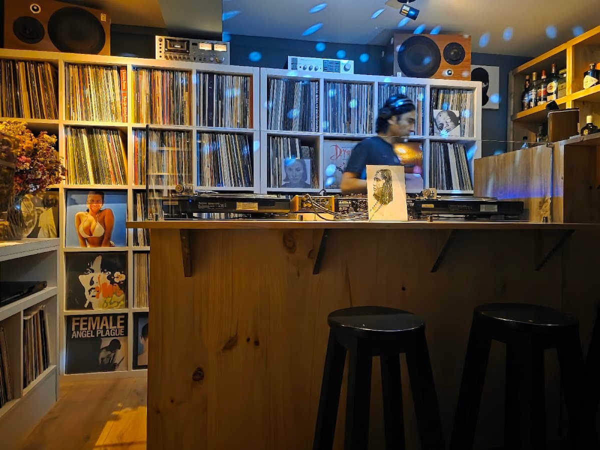 Shelter Vinyl Bar