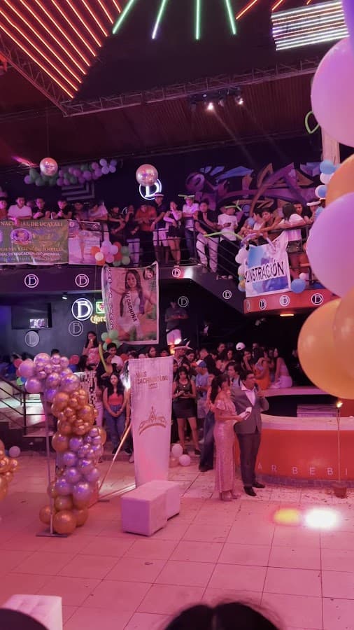 Meduza Disco — foto