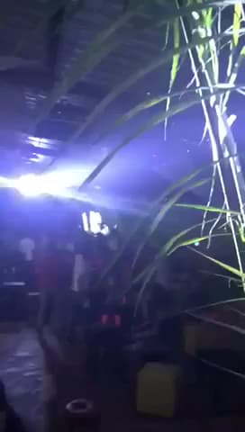 Secret Club — foto