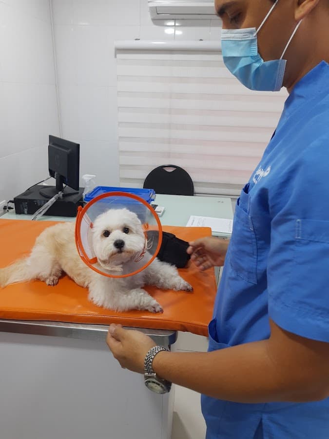 Sharpey Clínica Veterinaria