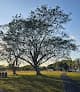 Plantation Heritage Park — foto