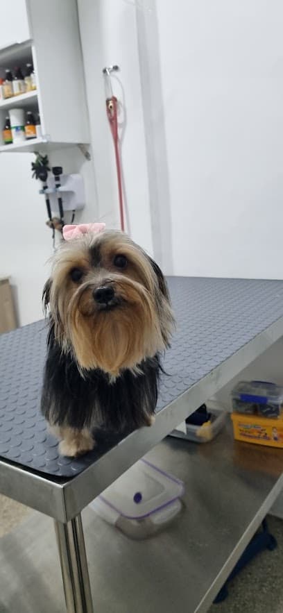 Emergencias Veterinarias Loira — foto