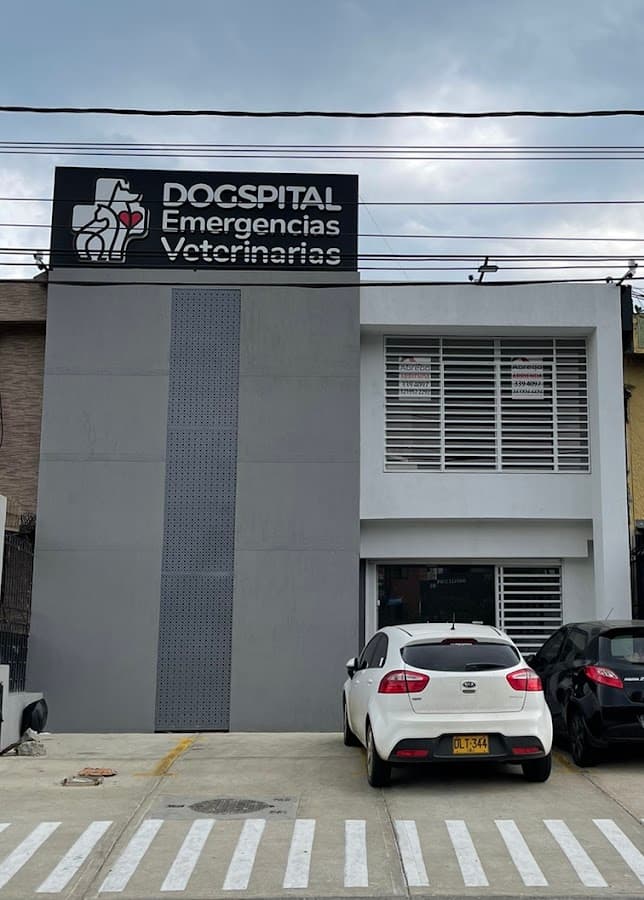 Pets & Pets Colseguros (antes Dogspital)