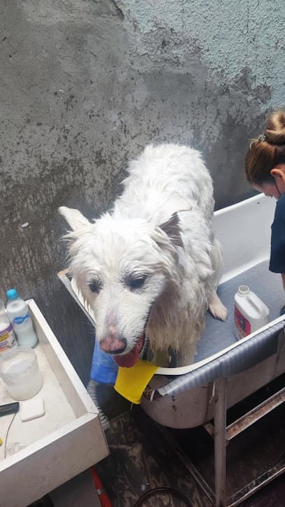 Clínica Veterinaria Alfonso López — foto