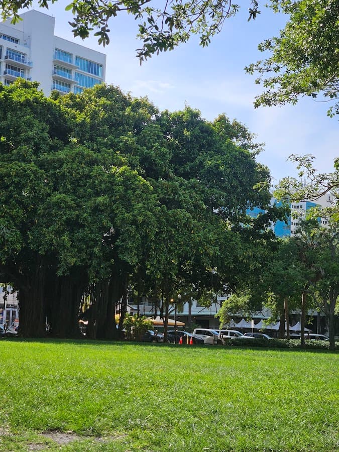 Tampa Golf Cart Tours — foto