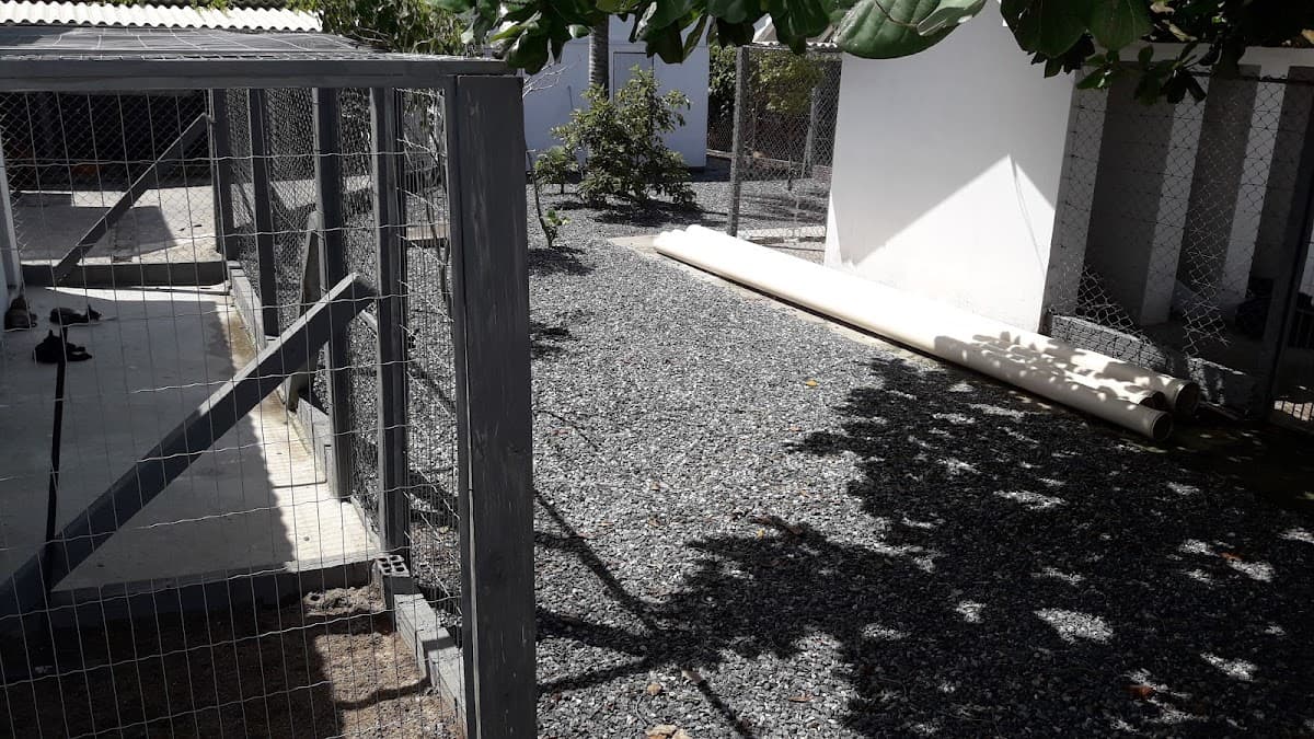DABA - Itapema - Departamento de Assistência e Bem-Estar Animal