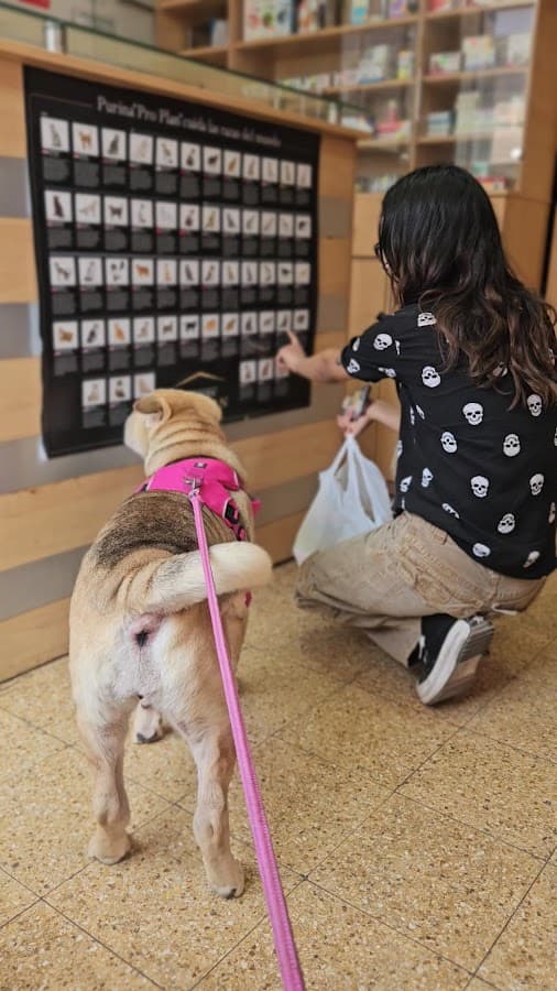 Veterinaria Alltopets — foto