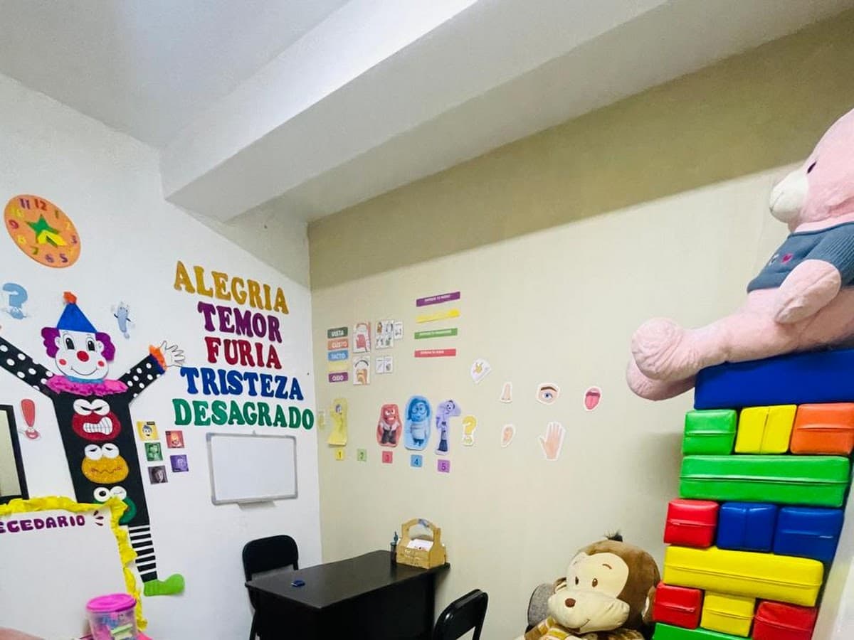 Colegio de Psicólogos del Perú - CDR VIII Cusco y Madre de Dios — foto
