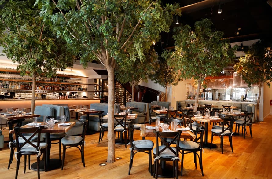TIMBR Restaurant & Lounge