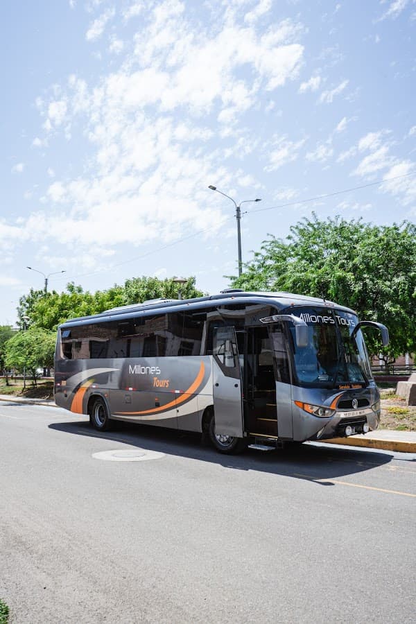 MILLONES TOURS — foto