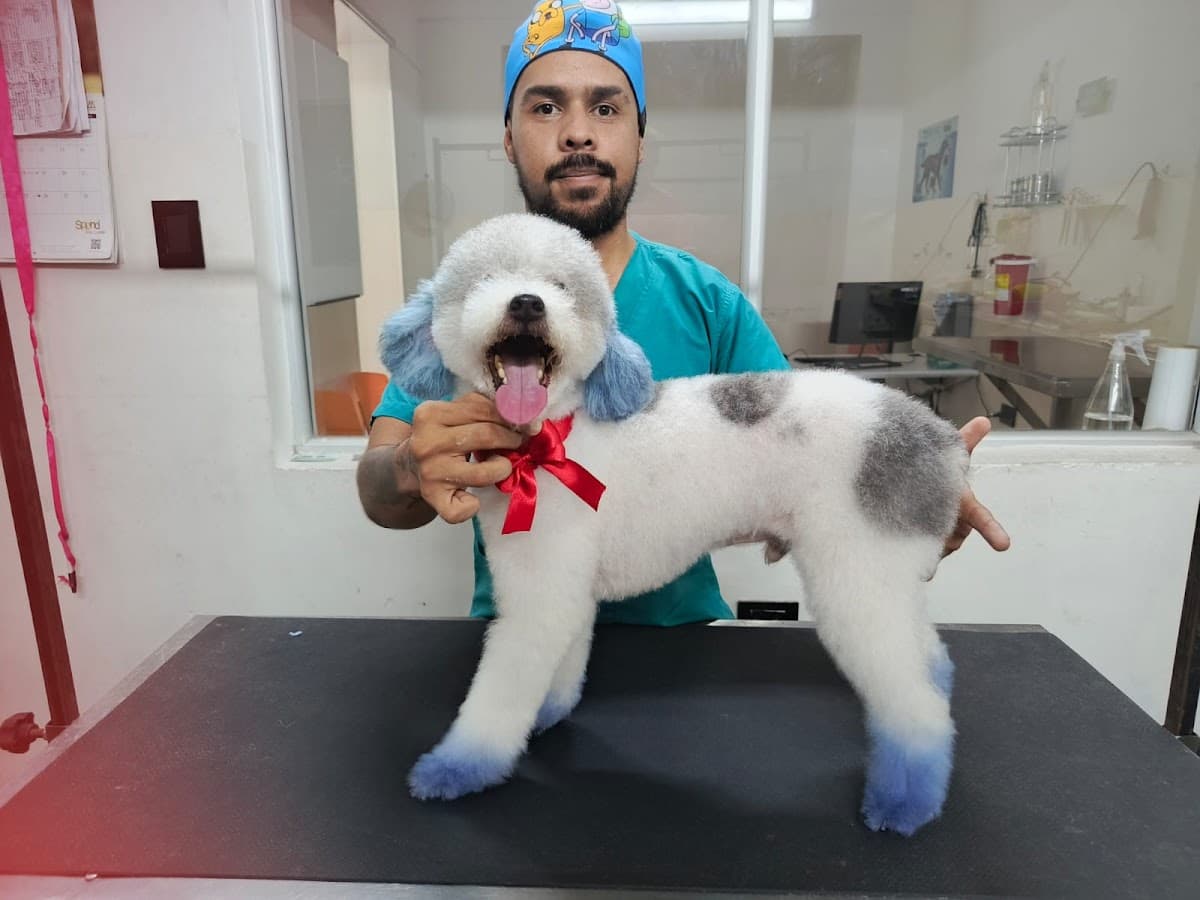 EPS para Mascotas