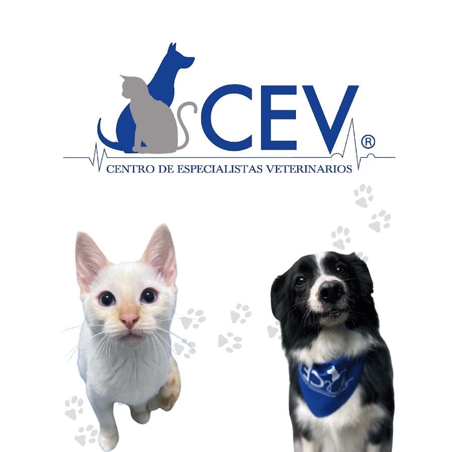 CEV Centro de Especialistas Mascotas