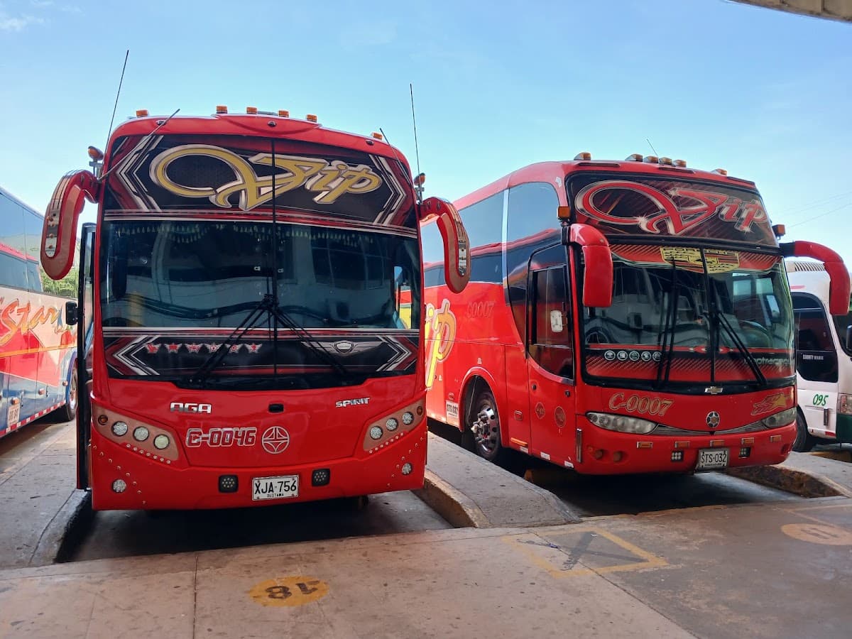 Transportes BLS SAS — foto