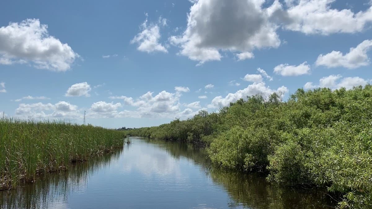 Airboat Ride West Palm Beach — foto
