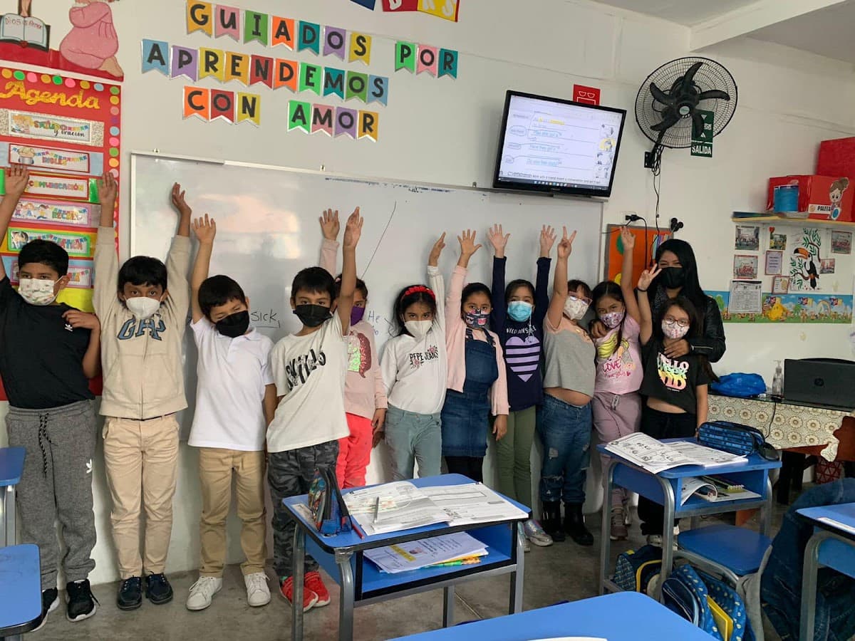 Centro de Idiomas Online World