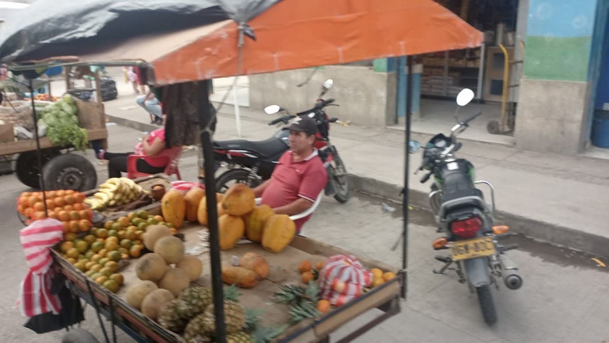 Plaza De Mercado Santa Marta — foto