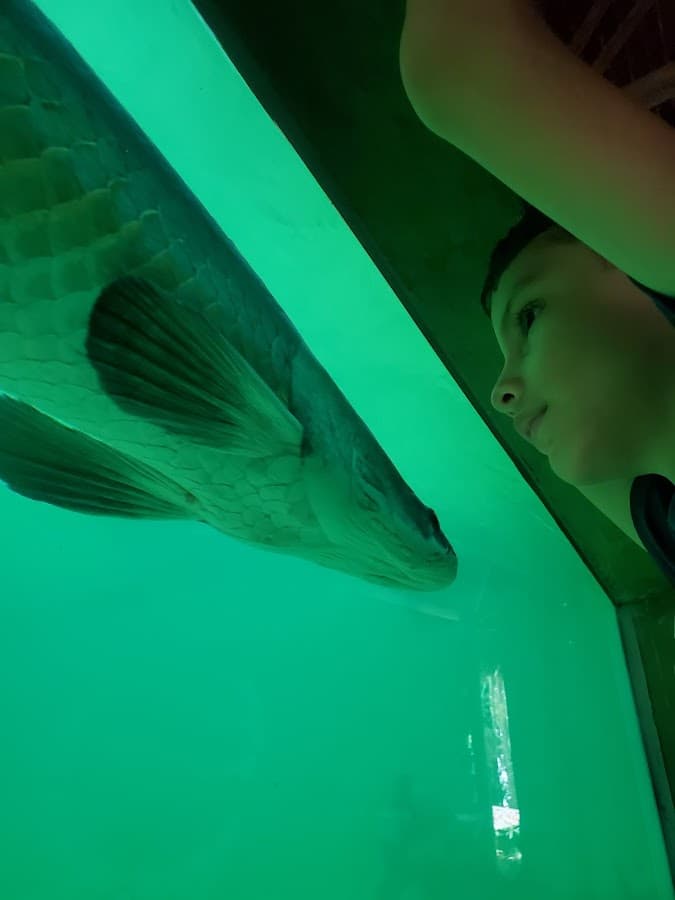 Bosque de Huayo — foto