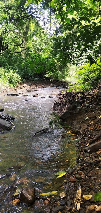 Cascada Estacional Cerro Azul
