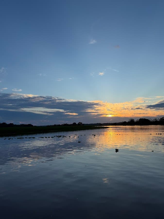 Amazon Wildlife Tours — foto
