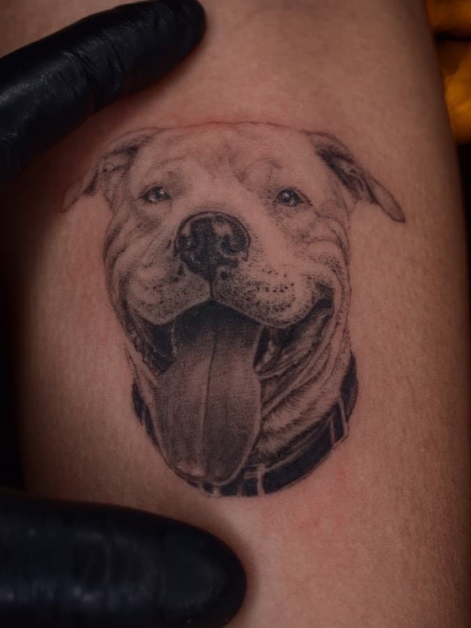 Cirujano Tattoo — foto