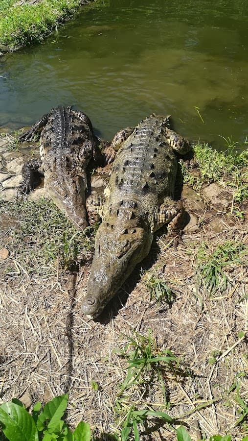 Parque Temático Vivarium del Caribe — foto