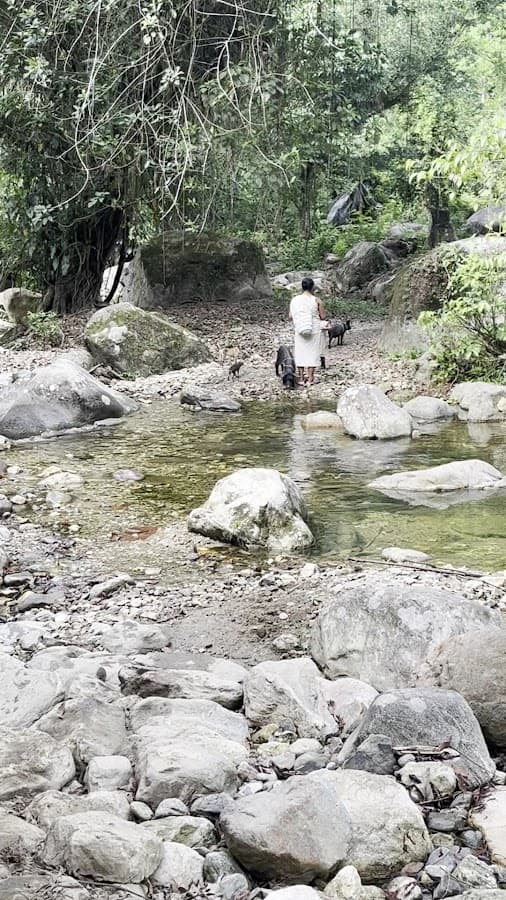 Ciudad Perdida | The Lost City | Tours | AncesTrails — foto