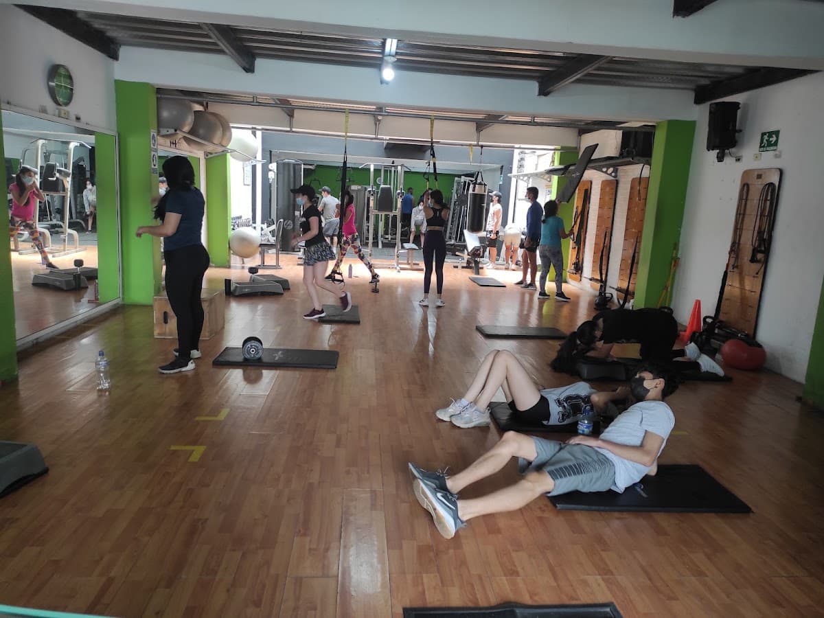 MegaFit Gym Pro