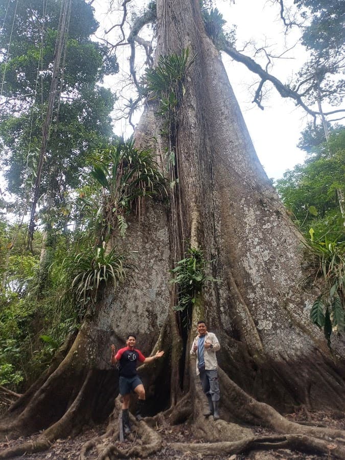 Capinuri Amazonia Tours Iquitos, Perú