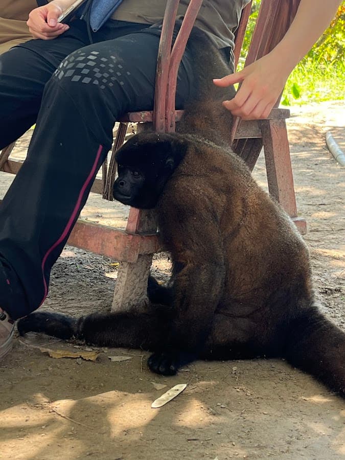 Capinuri Amazonia Tours Iquitos, Perú — foto