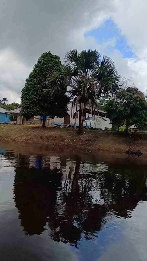 Capinuri Amazonia Tours Iquitos, Perú — foto