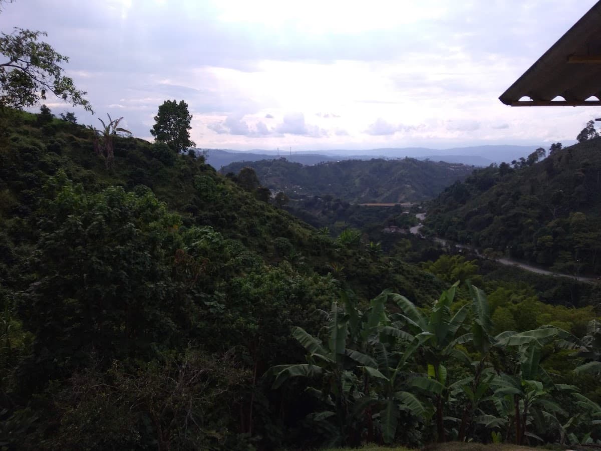Eventos Manizales — foto