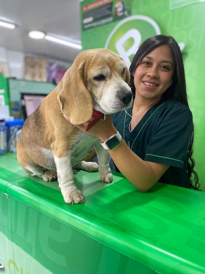 Urgencias veterinarias 24 horas Clínica Raza - Santa Isabel — foto