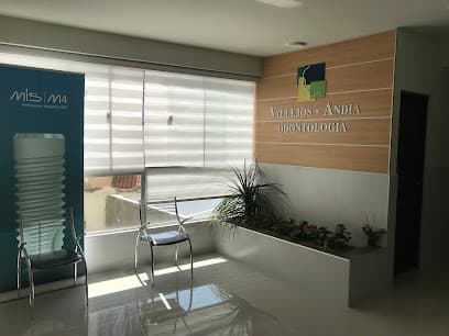 Vallejos Andia Odontología — foto