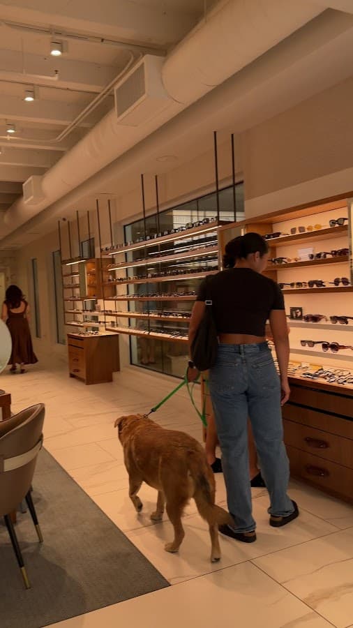 Edward Beiner Eyewear at CocoWalk Coconut Grove — foto