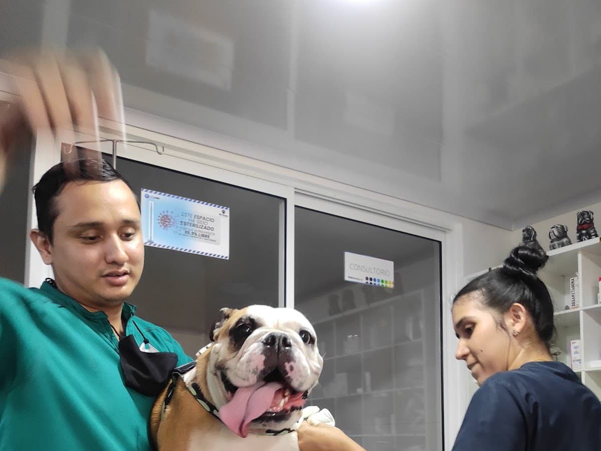 Veterinaria, Boutique canina y felina Huellitas — foto