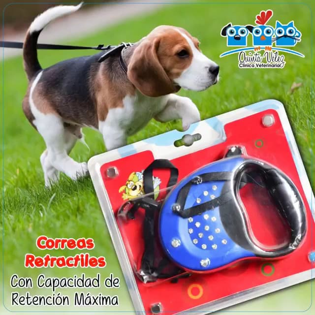 Veterinaria Quinta Velez Cúcuta
