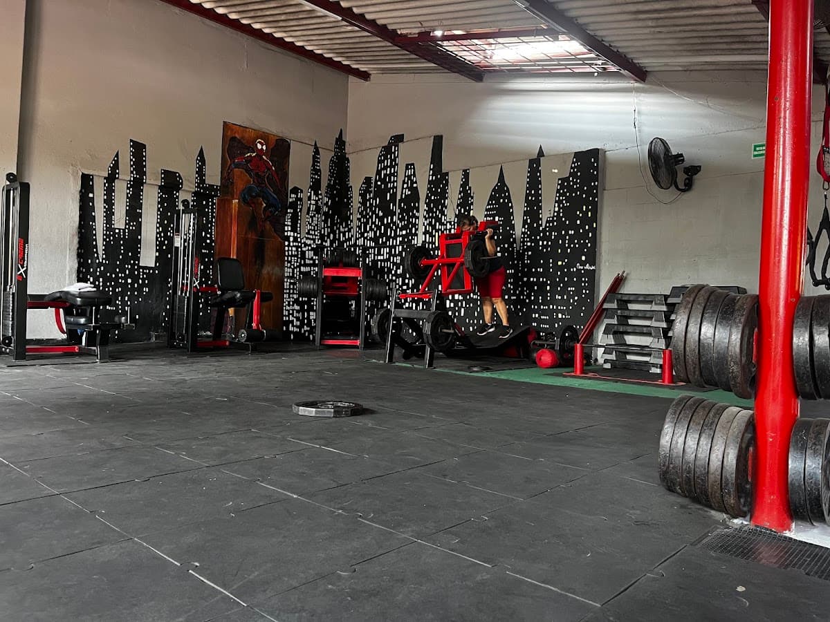 HIIT TRAINING — foto