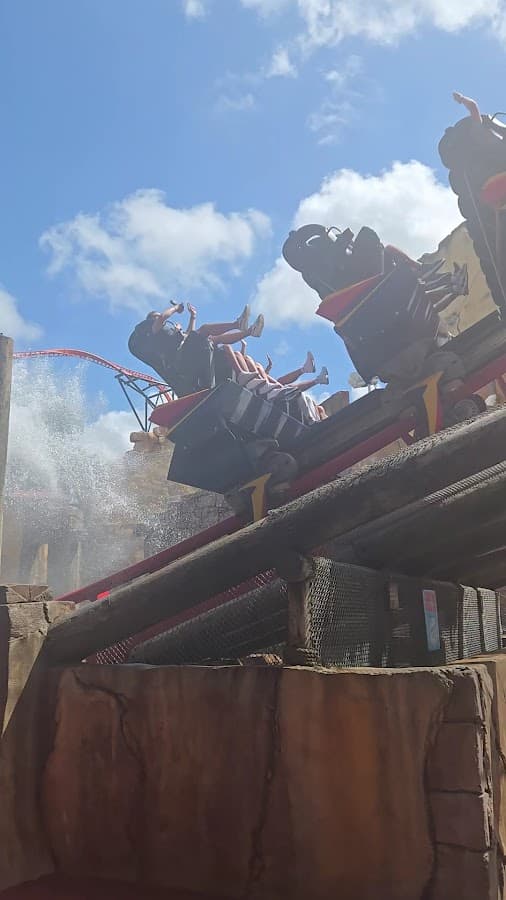 Busch Gardens Tampa Bay — foto