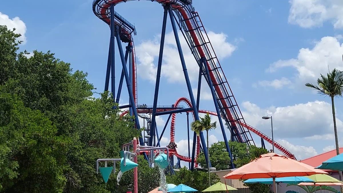 Busch Gardens Tampa Bay — foto