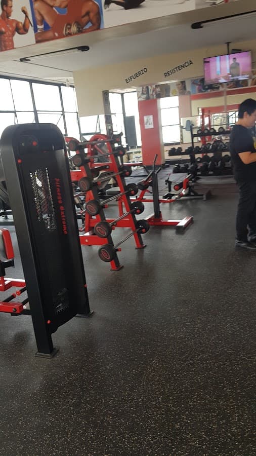 Gimnasio Club Apolo Gym — foto