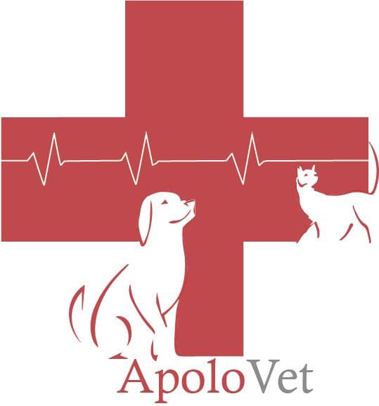 Veterinario, Veterinaria 24 horas "apolovet" — foto