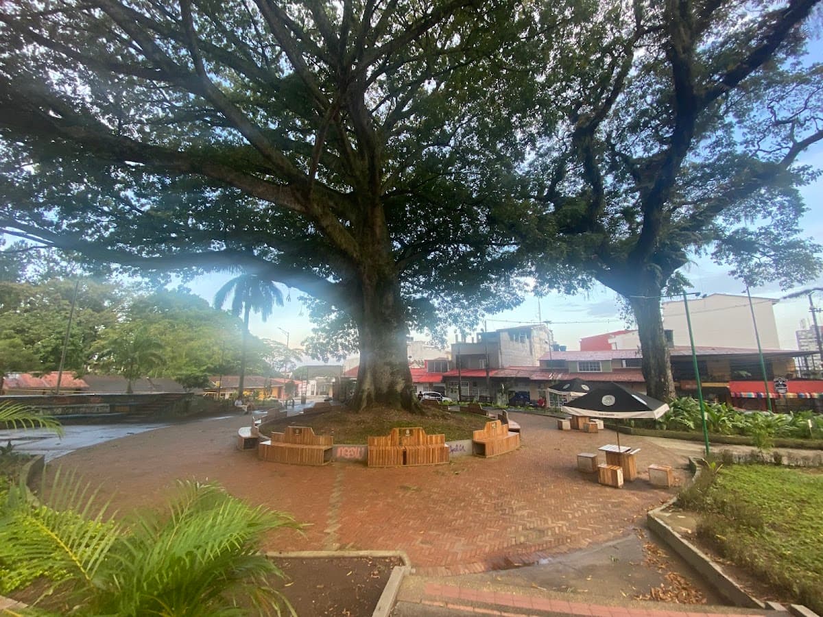 Parque Infantil