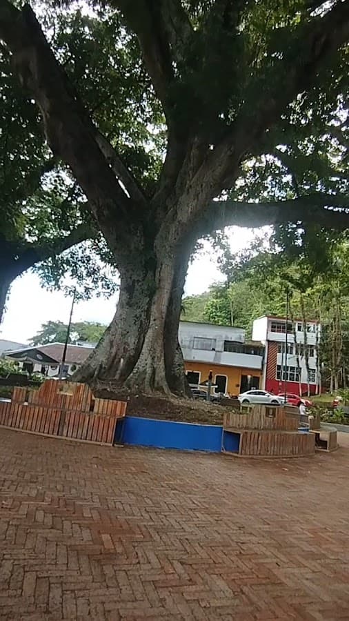 Parque Infantil — foto