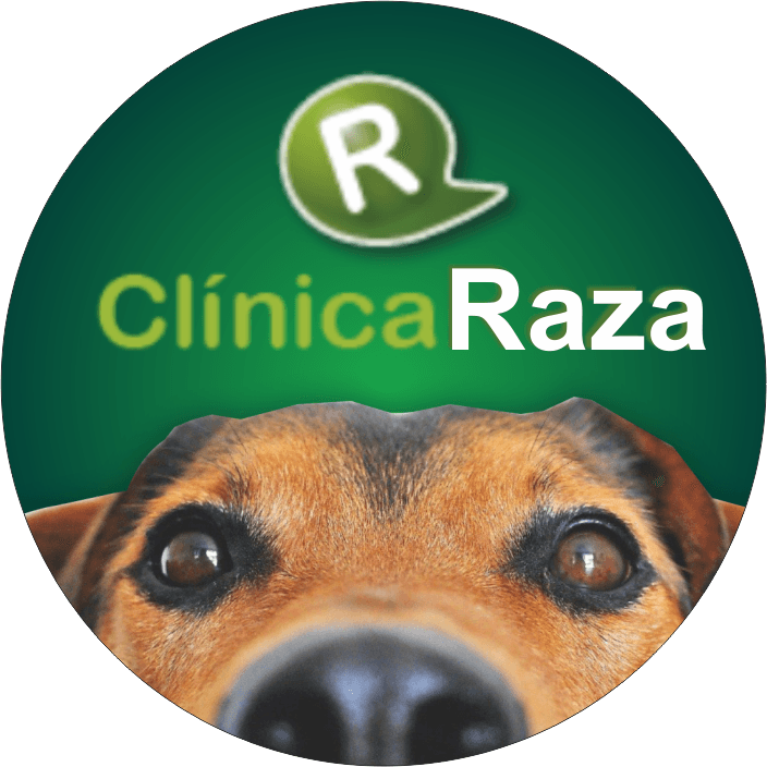 Urgencias veterinarias 24 horas Clínica RAZA - Pasadena